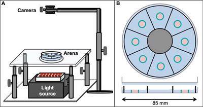 The Panopticon—Assessing the Effect of Starvation on Prolonged Fly Activity and Place Preference